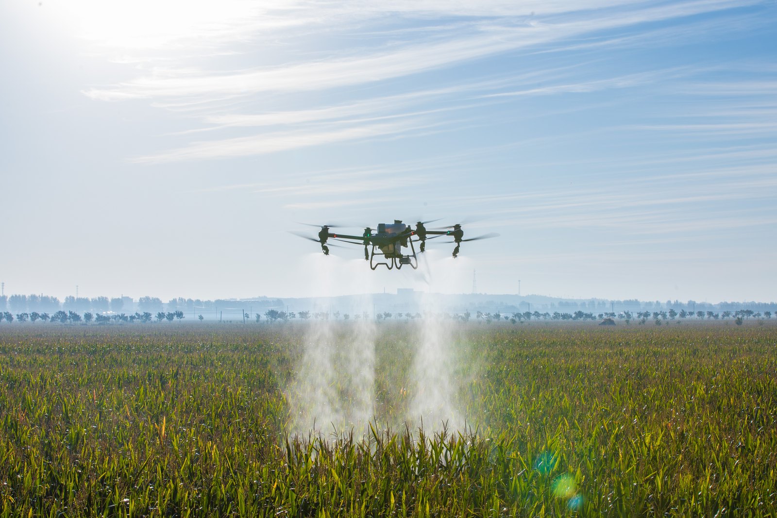 DJI Agras T50 — 40 kg spray / 50 kg spread platform (quotation)